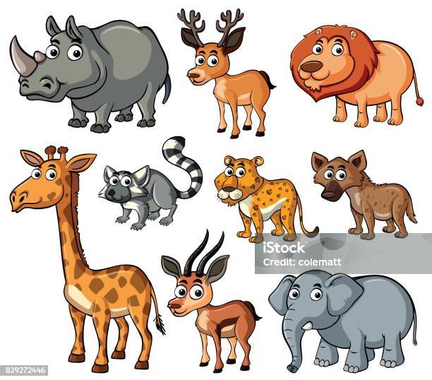 Different Kinds Of Wild Animals Stock Illustration - Download Image Now - Animal, Animal Wildlife, Art - iStock Different Kinds Of Wild Animals Stock Illustration - Download Image Now - Animal, Animal Wildlife, Art - iStock