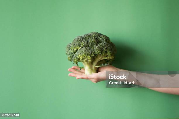 Raw Broccoli In Hand Vegeterian Food Or Diet Concept - Fotografias de stock e mais imagens de Brócolo