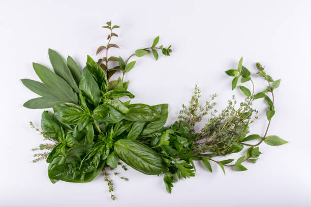 istock Composition of herbs (basil, mint, thyme, sage, parsley) isolated on white background, top view as package design 829294048