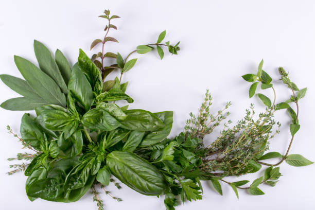 istock Composition of herbs (basil, mint, thyme, sage, parsley) isolated on white background, top view as package design 829294054