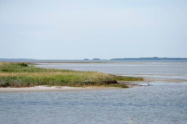 istock Coastline landscape Laesoe 829308114