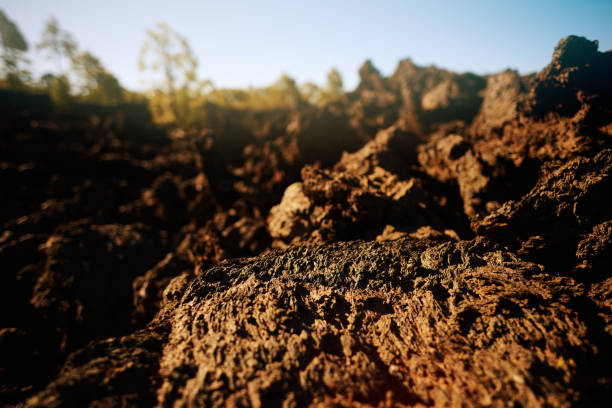 horizontal nature background, volcanic rock close up shot.