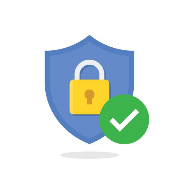 ilustrações de stock, clip art, desenhos animados e ícones de shield with padlock and check mark. modern flat vector icon - security code illustrations