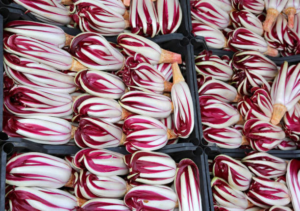 fruit box with red radicchio from Treviso for sale at the vegeta many fruit box with red radicchio from Treviso for sale at the vegetable market radicchio tardivo stock pictures, royalty-free photos & images