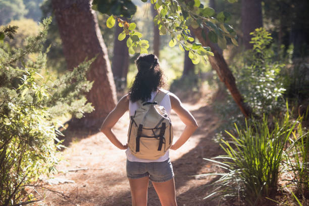 istock Rear view of hiker standing on trail 829361134