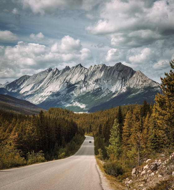istock Scenic Icefields Pkwy traveling through Banff and Jasper National Parks 829366114