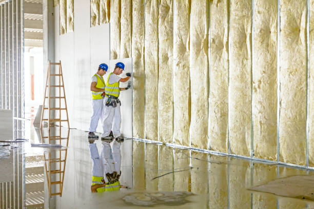 riggers работают над термальной перегородкой сухой стены с минеральной шерстью - plasterer construction site manual worker plaster стоковые фото и изображения
