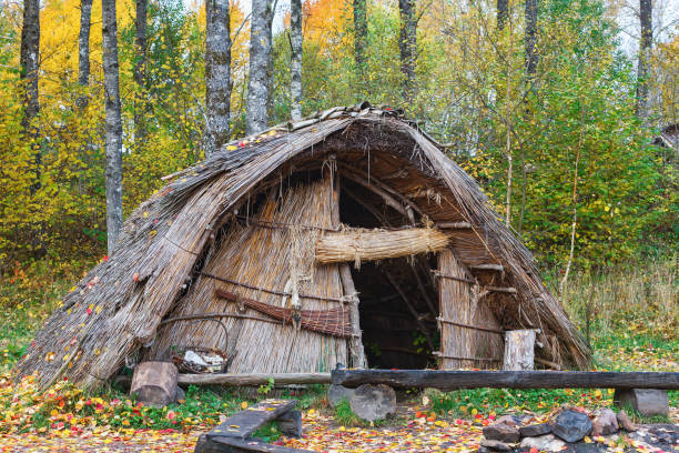 Asarp, Sweden - October 12, 2016: Stone Age hut of reeds in the forest