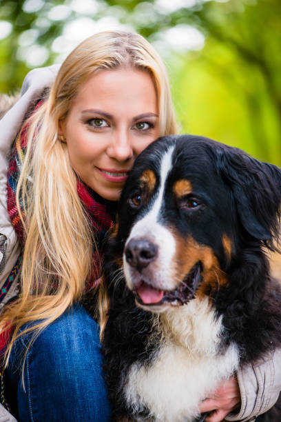 istock Woman cuddling with Bernese mountain dog 829394906