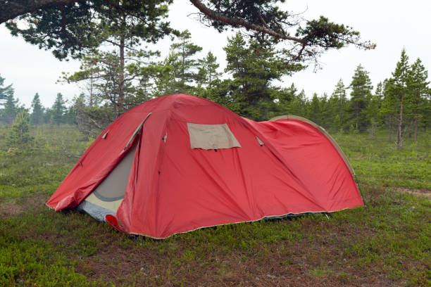 istock Camping, Russia, tent, nature 829397500