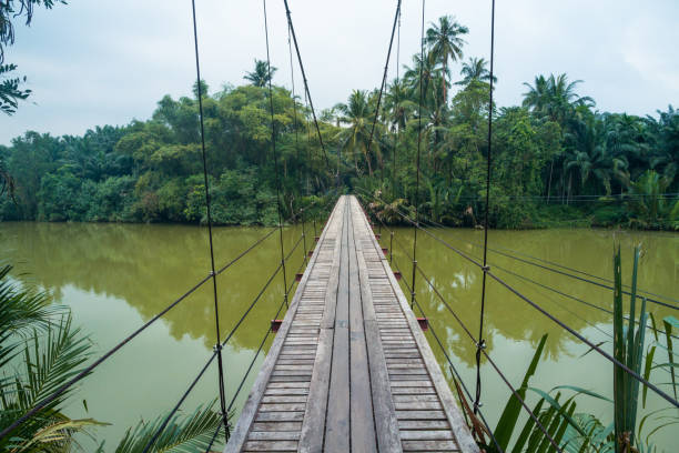 istock Suspension bridge in asia 829407884