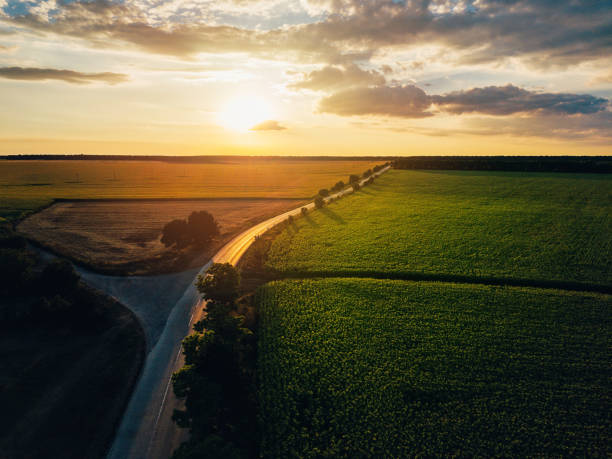 istock Country road at sunset 829413982