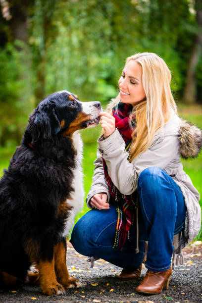 istock Woman walking the dog in fall park 829427854