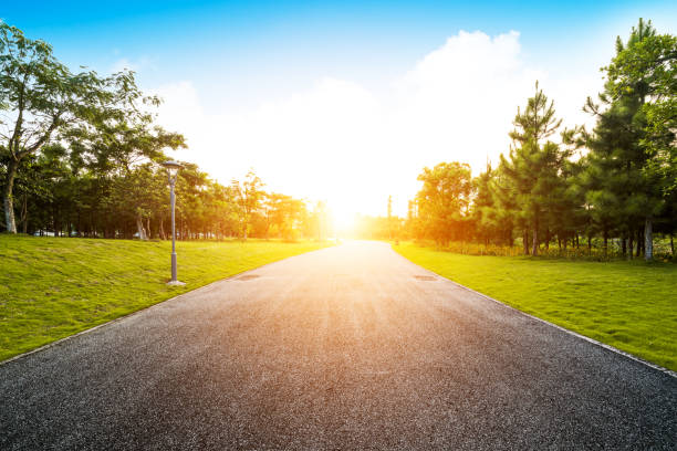 istock Promenade in a beautiful city park 829436356