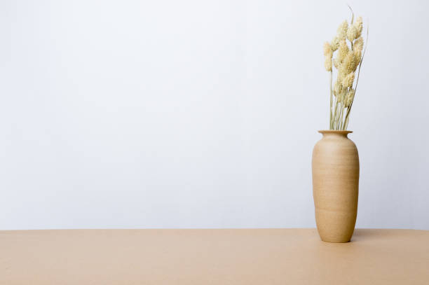 istock Indoor plant on wooden table and white wall 829445114
