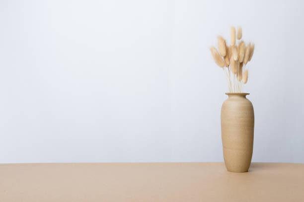 istock Indoor plant on wooden table and white wall 829445160