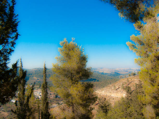 istock Hiking in the nature around Jerusalem in Israel 829452028