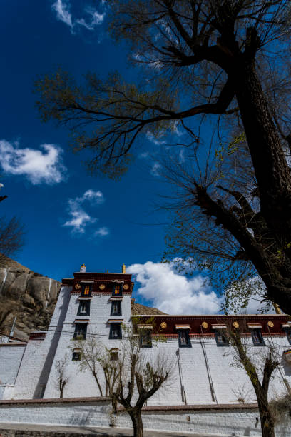 istock Beautiful landscape in Tibet 829454200