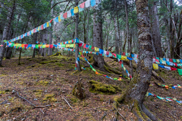 istock Beautiful landscape in Tibet 829460026
