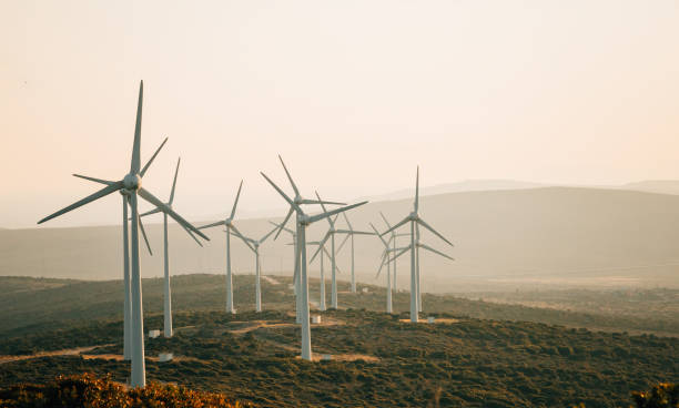 istock Scenic view of windmill farm 829489068