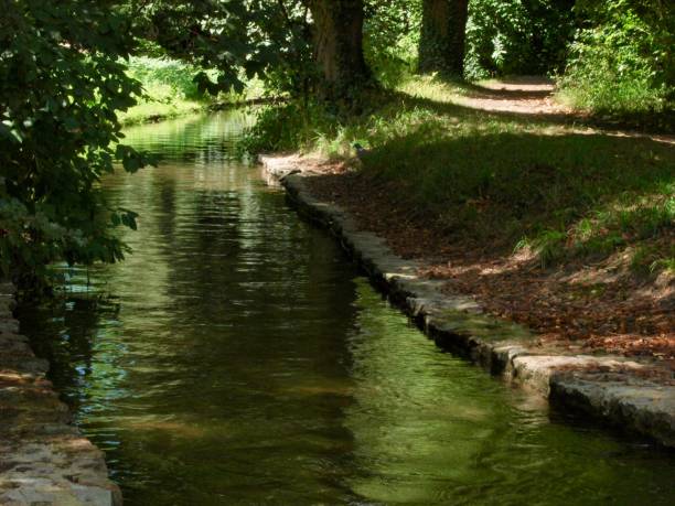 istock Bois de Boulogne/Paris,France 829503654