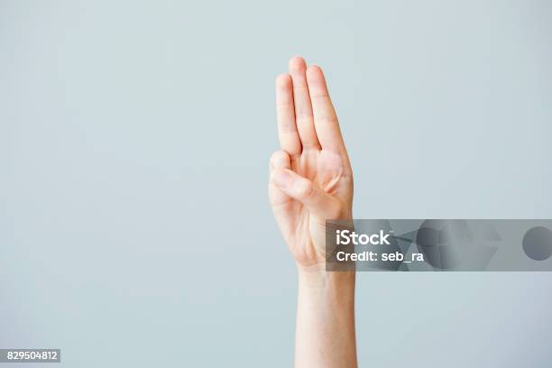 Three Finger Salute Stock Photo - Download Image Now - Boy Scout, Girl Scout, Saluting