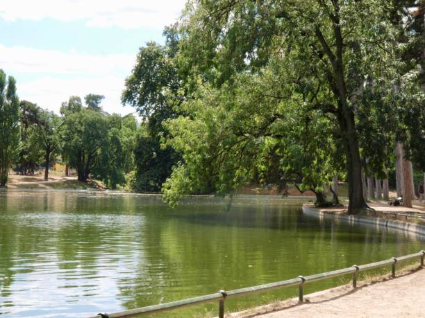 istock Bois de Boulogne/Paris,France 829504826