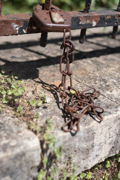 istock Old rusty chain on a wooden fence 829505104