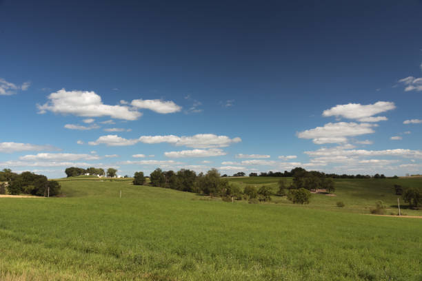 istock View of a field in Illinois country side 829505352