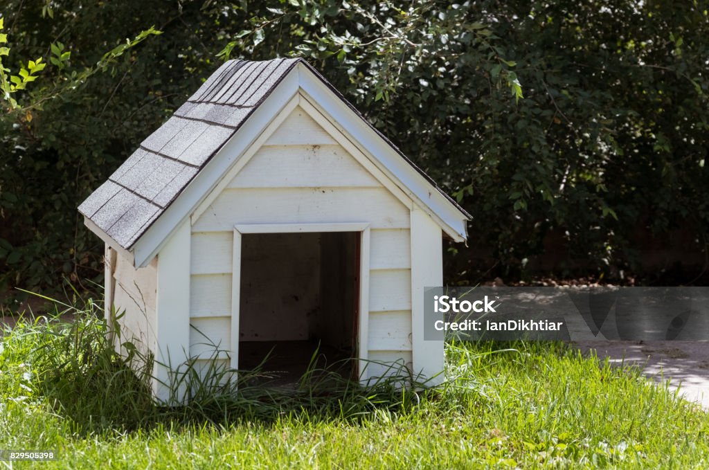 White wooden doghouse on a house backyard Kennel Stock Photo