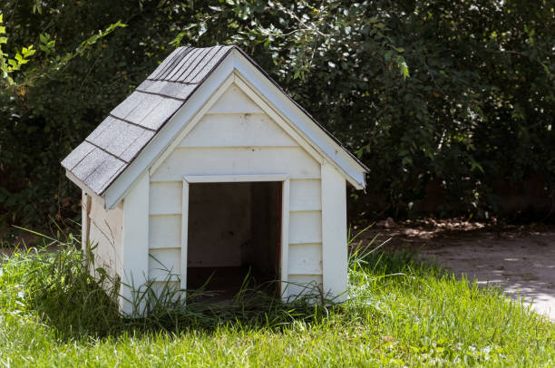 白色木制狗窩上的房子後院 - ian 個照片及圖片檔