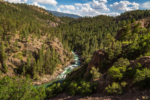 istock A Trip up the Animas River 829505860