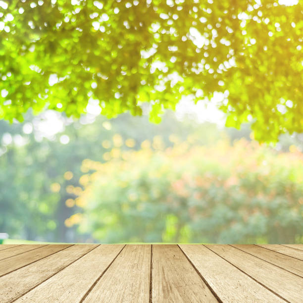 istock Empty table, perspective wood over blur tree with bokeh background, product display montage background 829506042