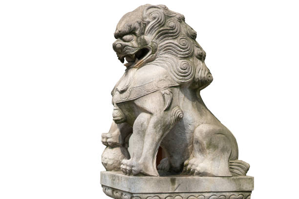istock Chinese Imperial Lion Statue, Isolated on white background 829506268