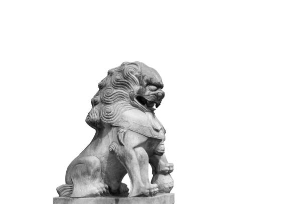 istock Chinese Imperial Lion Statue, Isolated on white background 829506498
