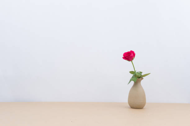 istock Indoor plant on wooden table and white wall 829519318