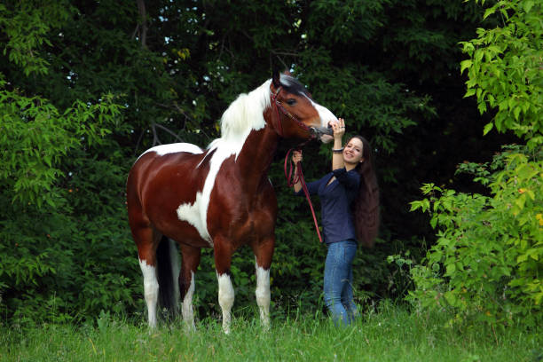 istock Young lady with her Vanner horse walking 829521354