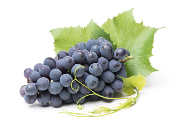świeży pęczek winogron z liśćmi wyizolowanymi na białym tle - dark blue grapes zdjęcia i obrazy z banku zdjęć