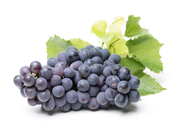 grappolo d'uva fresco con foglie isolate su sfondo bianco - dark blue grapes foto e immagini stock