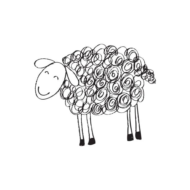 ilustrações, clipart, desenhos animados e ícones de esboçado de ovelhas. - sheep lamb wool animal head