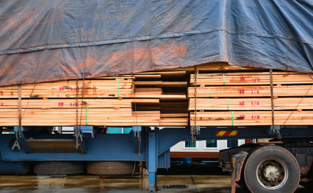 istock Timber transport truck Park waiting for inspection 829539656