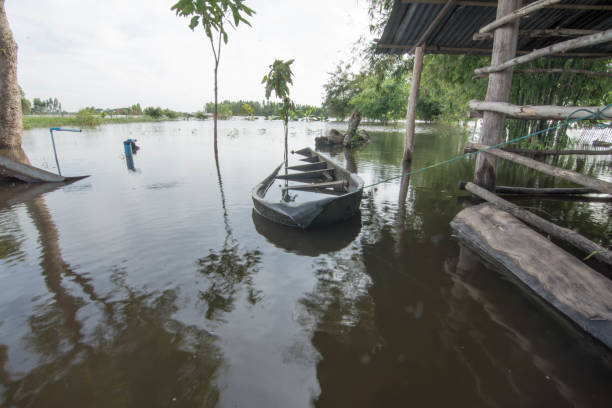 campos de arroz inundados, bananeiras, rotas de tráfego na tailândia. - flood people asia cambodia - fotografias e filmes do acervo