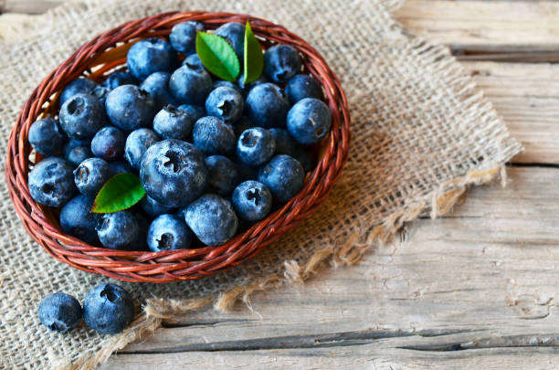 Freshly picked blueberries in a basket on burlap cloth background.Blueberry.Bilberry. stock photo