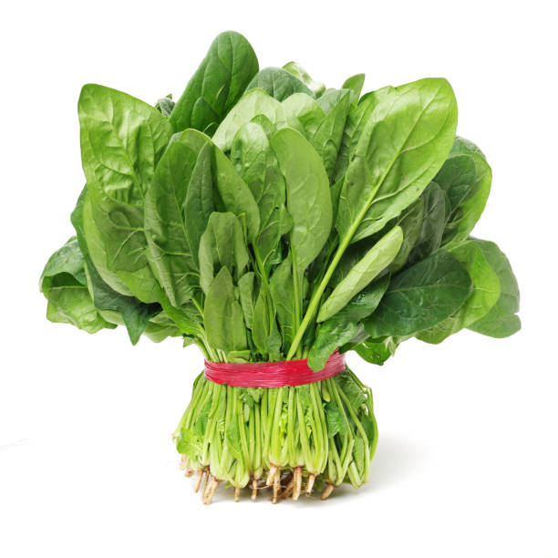 istock Spinach bunch isolated on white background - picture file 829549158