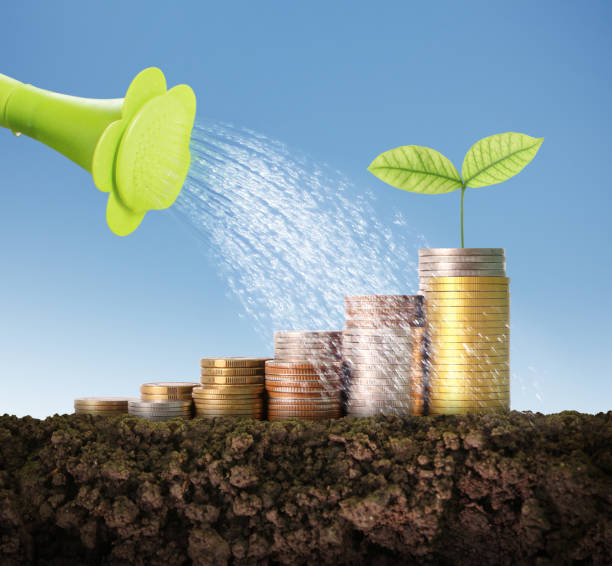 istock Investment concept, Coins graph stock 829555536