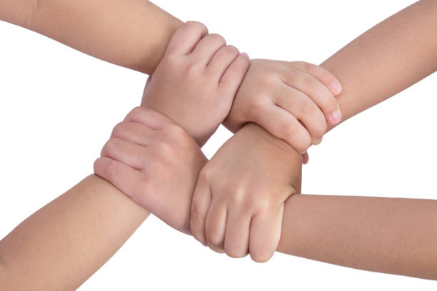 Four child's hands crossed and holding each other in isolated white background