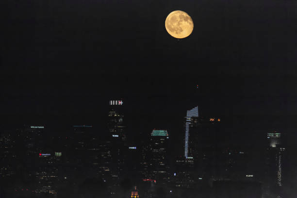 istock Downtown Los Angeles Cityscape 829562694