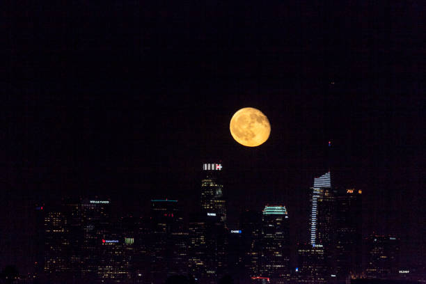 istock Downtown Los Angeles Cityscape 829563636