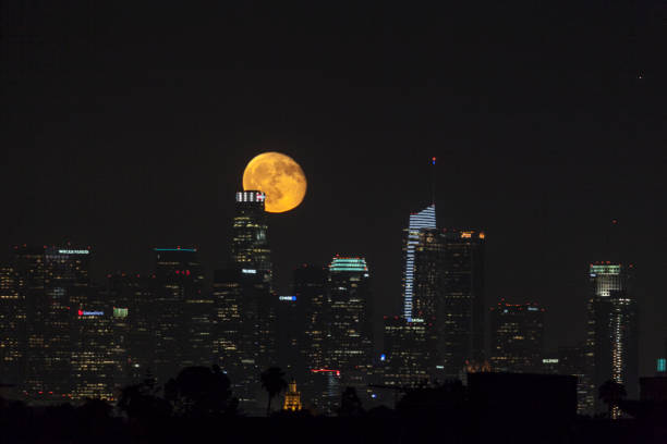 istock Downtown Los Angeles Cityscape 829563978