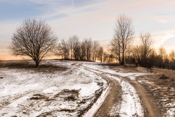 Winter panorama in Slovakian countryside